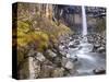 Svartifoss Waterfall in the Skaftafell National Park, Iceland, Polar Regions-Lee Frost-Stretched Canvas