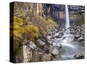 Svartifoss Waterfall in the Skaftafell National Park, Iceland, Polar Regions-Lee Frost-Stretched Canvas