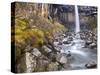 Svartifoss Waterfall in the Skaftafell National Park, Iceland, Polar Regions-Lee Frost-Stretched Canvas