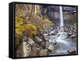 Svartifoss Waterfall in the Skaftafell National Park, Iceland, Polar Regions-Lee Frost-Framed Stretched Canvas