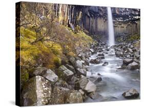 Svartifoss Waterfall in the Skaftafell National Park, Iceland, Polar Regions-Lee Frost-Stretched Canvas