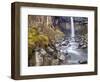 Svartifoss Waterfall in the Skaftafell National Park, Iceland, Polar Regions-Lee Frost-Framed Photographic Print