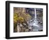 Svartifoss Waterfall in the Skaftafell National Park, Iceland, Polar Regions-Lee Frost-Framed Photographic Print