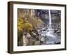 Svartifoss Waterfall in the Skaftafell National Park, Iceland, Polar Regions-Lee Frost-Framed Photographic Print