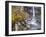 Svartifoss Waterfall in the Skaftafell National Park, Iceland, Polar Regions-Lee Frost-Framed Photographic Print
