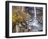 Svartifoss Waterfall in the Skaftafell National Park, Iceland, Polar Regions-Lee Frost-Framed Photographic Print