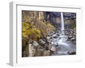 Svartifoss Waterfall in the Skaftafell National Park, Iceland, Polar Regions-Lee Frost-Framed Photographic Print