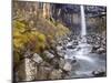 Svartifoss Waterfall in the Skaftafell National Park, Iceland, Polar Regions-Lee Frost-Mounted Photographic Print