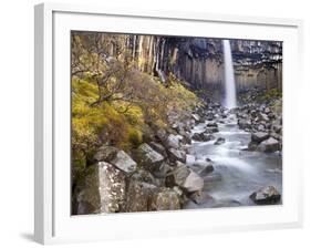 Svartifoss Waterfall in the Skaftafell National Park, Iceland, Polar Regions-Lee Frost-Framed Photographic Print