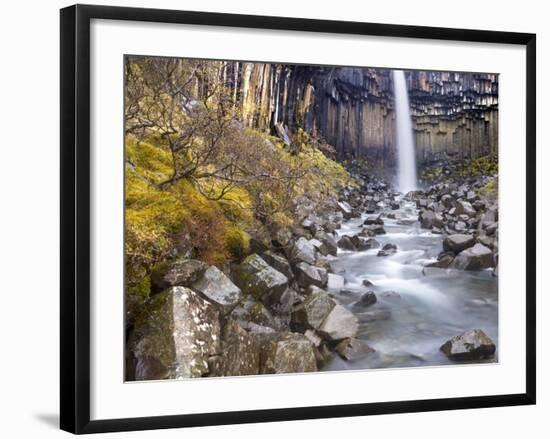 Svartifoss Waterfall in the Skaftafell National Park, Iceland, Polar Regions-Lee Frost-Framed Photographic Print