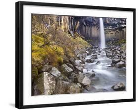 Svartifoss Waterfall in the Skaftafell National Park, Iceland, Polar Regions-Lee Frost-Framed Photographic Print