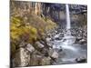 Svartifoss Waterfall in the Skaftafell National Park, Iceland, Polar Regions-Lee Frost-Mounted Photographic Print