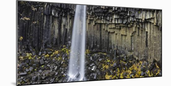 Svartifoss (Waterfall), Skaftafell, East Iceland, Iceland-Rainer Mirau-Mounted Photographic Print