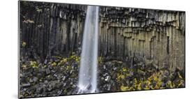 Svartifoss (Waterfall), Skaftafell, East Iceland, Iceland-Rainer Mirau-Mounted Photographic Print