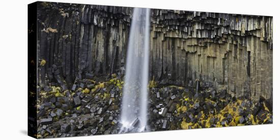 Svartifoss (Waterfall), Skaftafell, East Iceland, Iceland-Rainer Mirau-Stretched Canvas