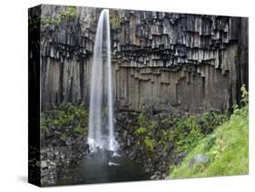 Svartifoss Waterfall, Skaftafell National Park, Iceland, Polar Regions-Ben Pipe-Stretched Canvas