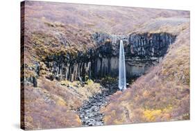 Svartifoss Waterfall, Skaftafell National Park, Iceland, Polar Regions-Christian Kober-Stretched Canvas
