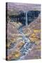 Svartifoss Waterfall, Skaftafell National Park, Iceland, Polar Regions-Christian Kober-Stretched Canvas