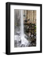 Svartifoss Waterfall, Skaftafell National Park, Iceland-Paul Souders-Framed Photographic Print