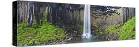 Svartifoss Waterfall, Skaftafell Park, Iceland-Michele Falzone-Stretched Canvas