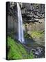 Svartifoss Waterfall, Skaftafell Park, Iceland-Michele Falzone-Stretched Canvas