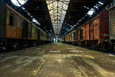 Cargo Trains in Old Train Depot-svedoliver-Laminated Photographic Print