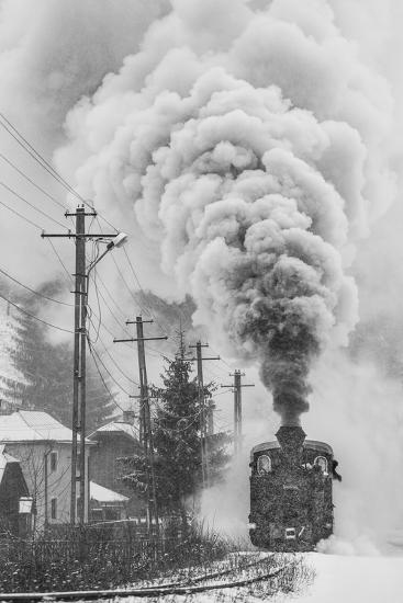 Photographic Print, , large
