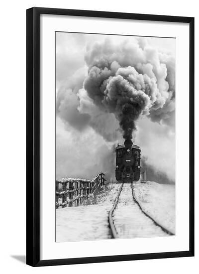 Photographic Print, , large