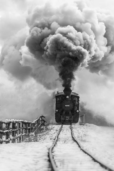 Premium Photographic Print, , large