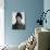 Sven Hedin Photo-null-Photographic Print displayed on a wall