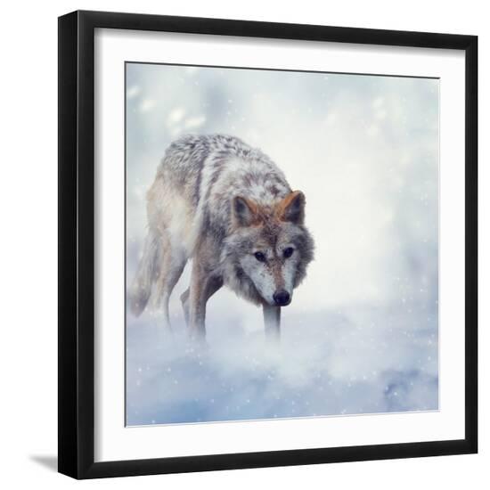 Photographic Print, , large