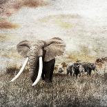 Grunge Image of Walking Elephants-Svetlana Foote-Photographic Print