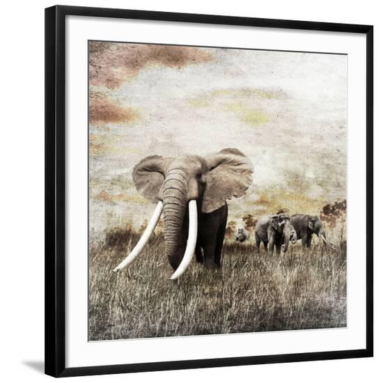 Photographic Print, , large