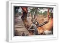 White Frame