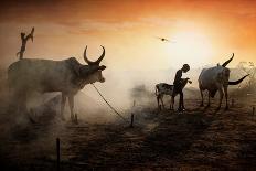 Mundari Fire-Svetlin Yosifov-Giclee Print