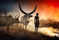 Mundari Fire-Svetlin Yosifov-Giclee Print