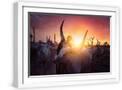White Frame