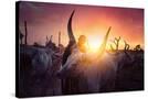 Stretched Canvas