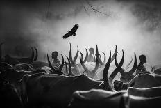 Mundari's Cow Man-Svetlin Yosifov-Giclee Print