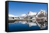 Svolvaer, Lofoten Islands, Nordland, Arctic, Norway, Scandinavia-Sergio Pitamitz-Framed Stretched Canvas