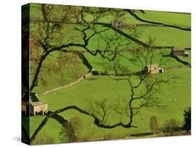 Swaledale, Drystone Walls and Field Barns in Valley Floor of Gunnerside in Yorkshire Dales, England-Paul Harris-Stretched Canvas