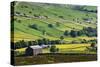 Swaledale in Summer from Askrigg High Road Near Muker-Mark Sunderland-Stretched Canvas