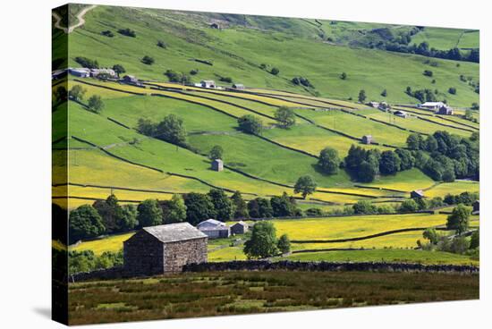 Swaledale in Summer from Askrigg High Road Near Muker-Mark Sunderland-Stretched Canvas