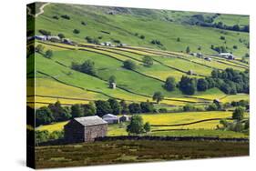 Swaledale in Summer from Askrigg High Road Near Muker-Mark Sunderland-Stretched Canvas