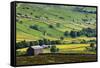 Swaledale in Summer from Askrigg High Road Near Muker-Mark Sunderland-Framed Stretched Canvas