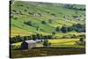 Swaledale in Summer from Askrigg High Road Near Muker-Mark Sunderland-Stretched Canvas