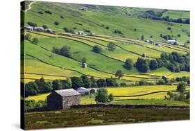 Swaledale in Summer from Askrigg High Road Near Muker-Mark Sunderland-Stretched Canvas