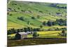 Swaledale in Summer from Askrigg High Road Near Muker-Mark Sunderland-Mounted Photographic Print