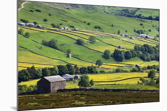 Swaledale in Summer from Askrigg High Road Near Muker-Mark Sunderland-Mounted Photographic Print