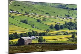 Swaledale in Summer from Askrigg High Road Near Muker-Mark Sunderland-Mounted Photographic Print